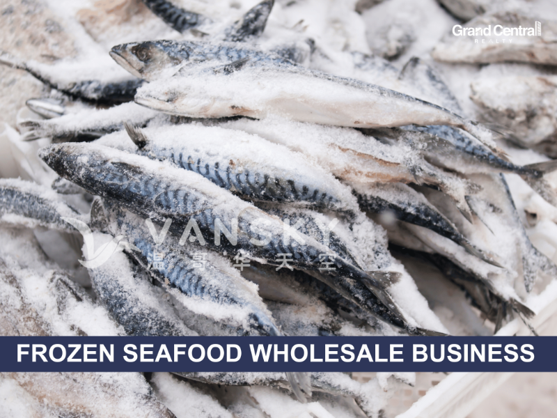 260305133856_Copy of Cover 3.png